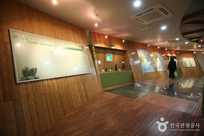 韓国竹博物館 thumbnail 3