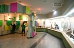 韓国竹博物館 thumbnail 2
