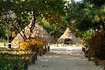 首尔岩寺洞遗址 thumbnail 2