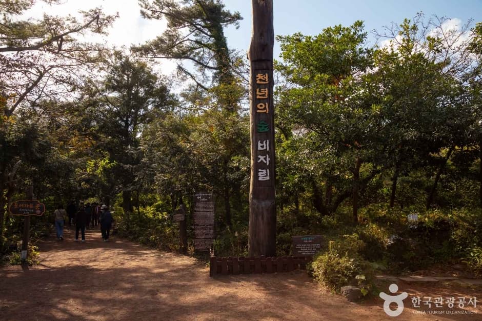 Bijarim Forest image