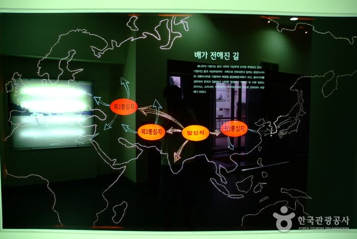 羅州梨博物館（Naju Pear Museum） thumbnail 4