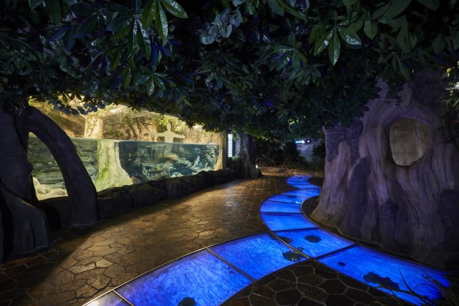 アクアプラネット済州（Aqua Planet Jeju） thumbnail 3