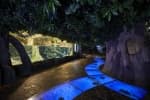 アクアプラネット済州（Aqua Planet Jeju） thumbnail 4