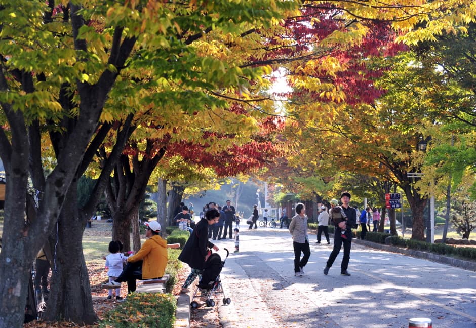 中外公園（Jungoe Park） selected image