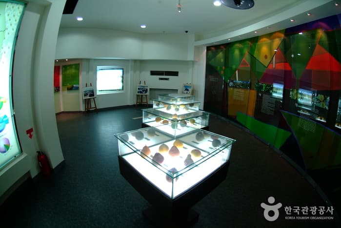 羅州梨博物館（Naju Pear Museum） thumbnail 2