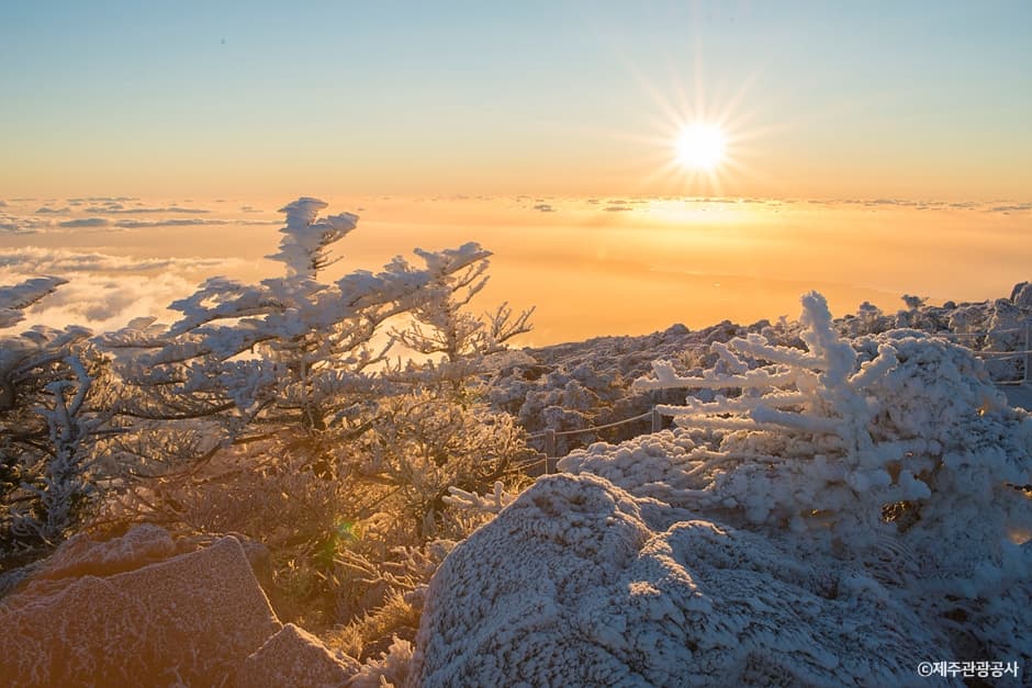 漢拏山（ハルラサン） selected image